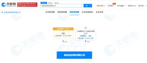 國(guó)內(nèi)貿(mào)易代理 連接供需的橋梁與引擎